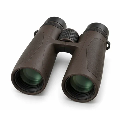 Иллюстрация: Blaser